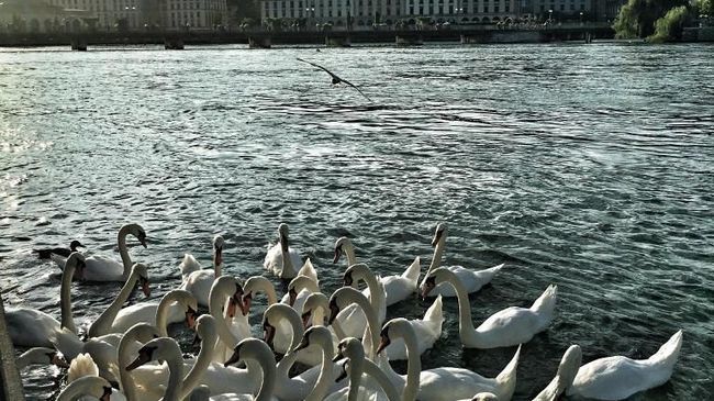 Hotel Comedie Geneva Luaran gambar
